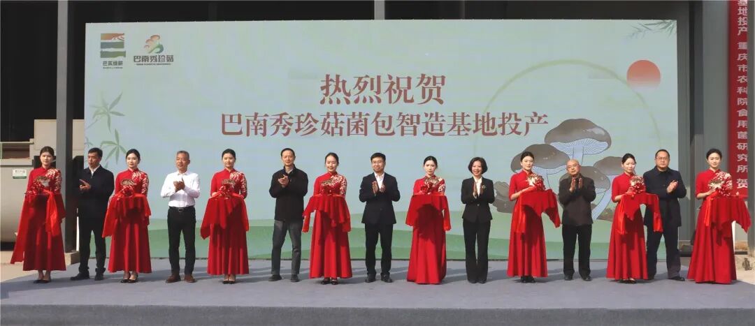 巴渝在线（2026.2.7）